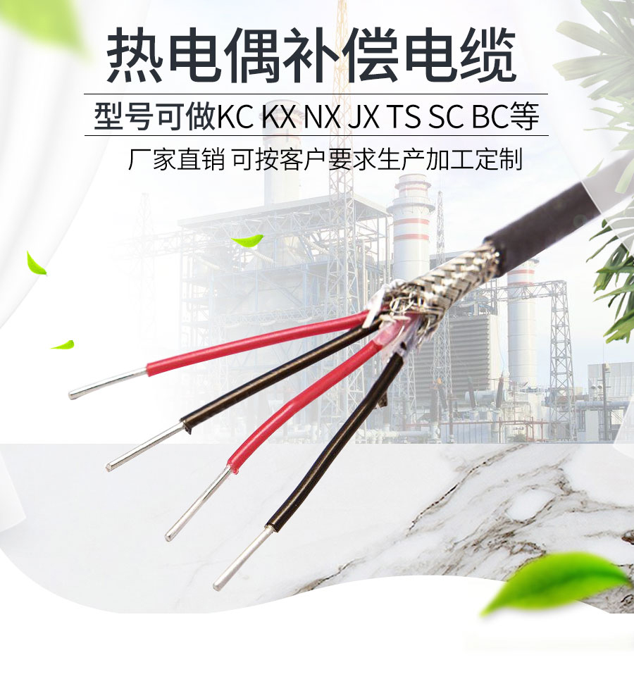 补偿电缆详情-蓝双 (1).jpg