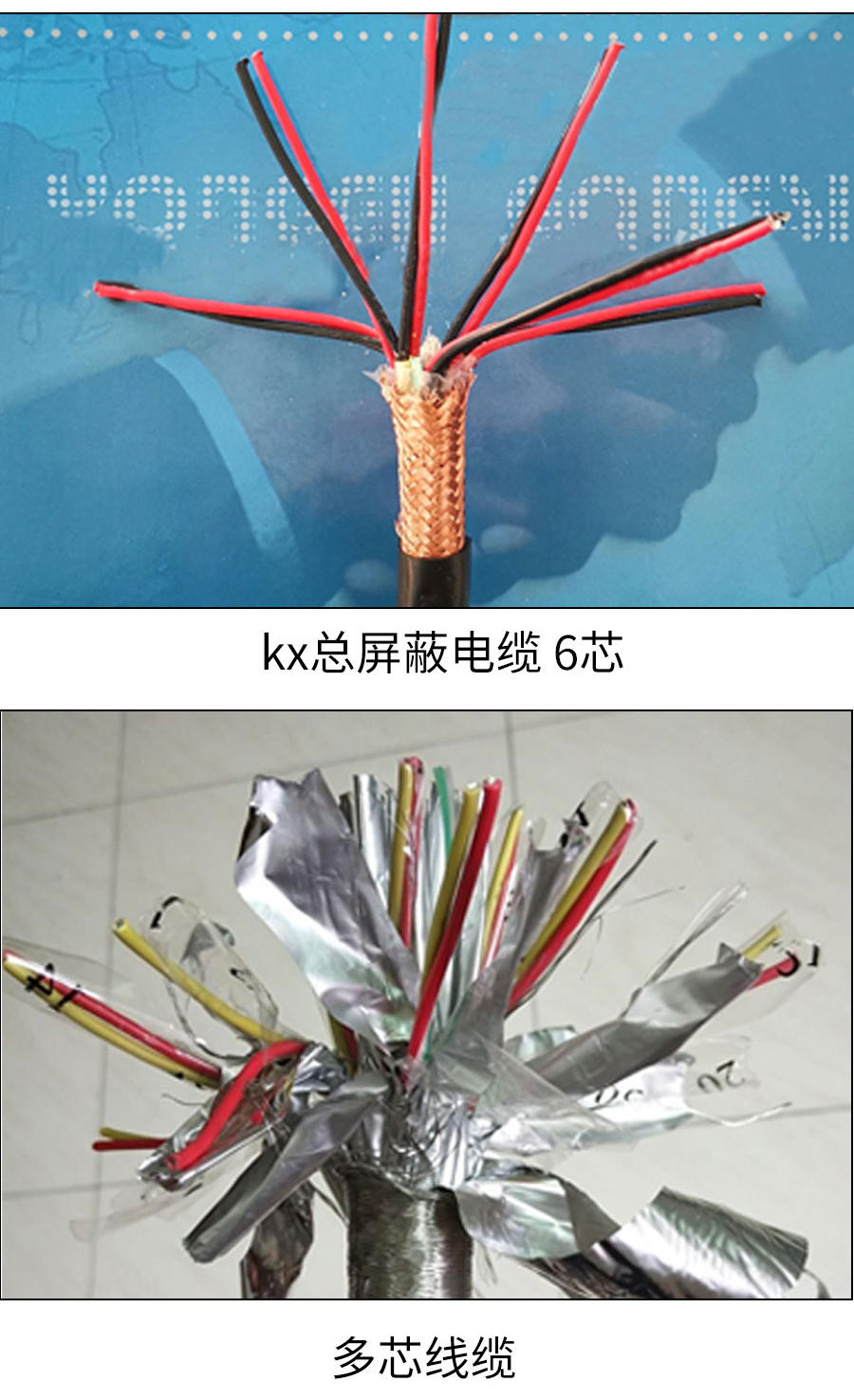 补偿电缆详情-蓝双 (6).jpg