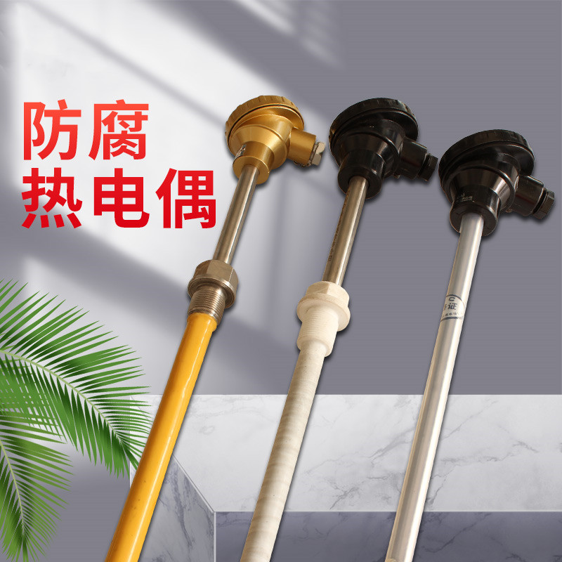 防腐热电偶_副本.jpg
